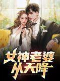 女神老婆从天降