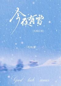 今夜有雪[先婚后爱]